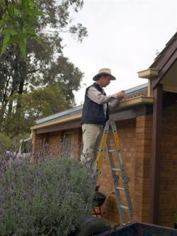 Building Inspection of gutters
